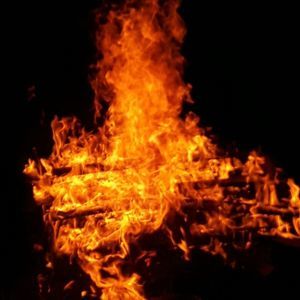 Meet your Posher, Lacey